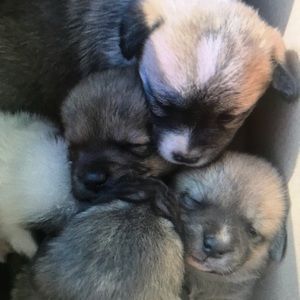 Meet your Posher, Dylan